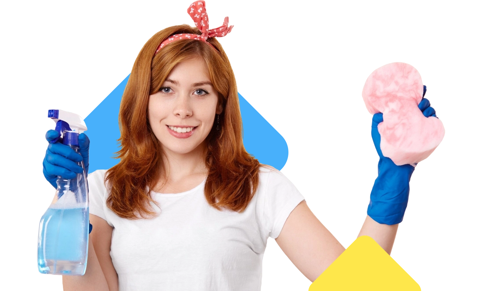 Propristine — Cleaning Service