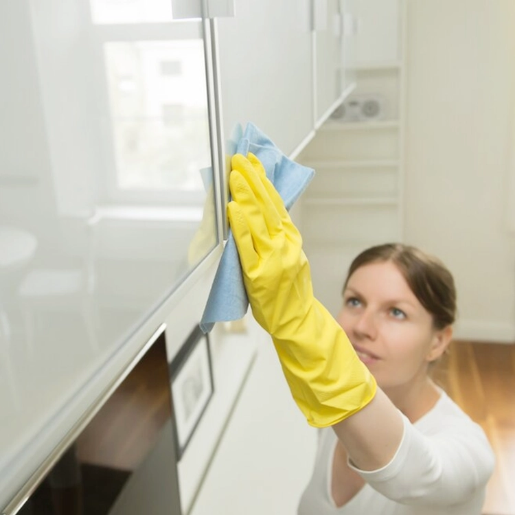 Propristine — Cleaning Service